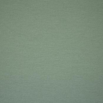 Swafing Vanessa Baumwoll Jersey Uni Altmint 262